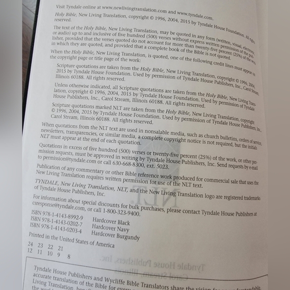 Handpainted Hardcover Pink and Green Custom NLT Bible - Picture 6 of 7